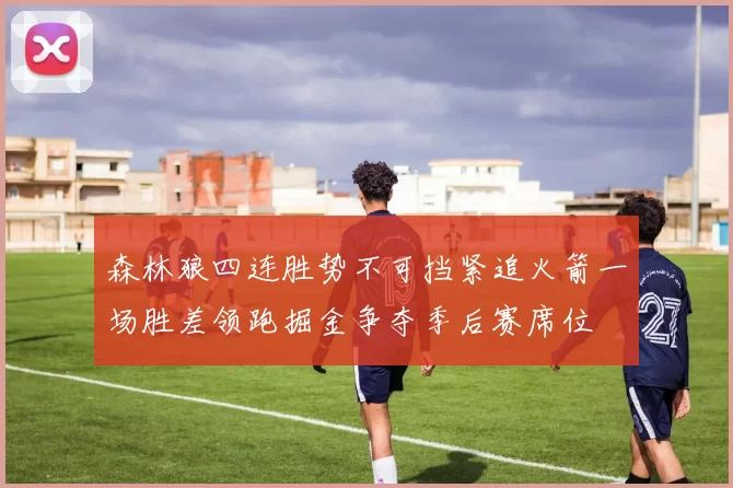 森林狼四连胜势不可挡紧追火箭一场胜差领跑掘金争夺季后赛席位